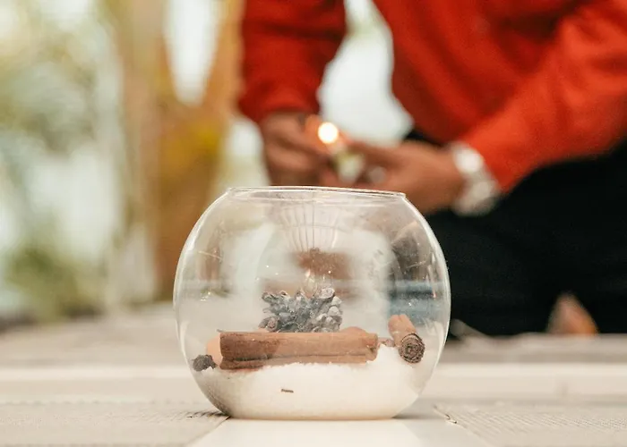 Bluesea Bahia De Lobos Hotel