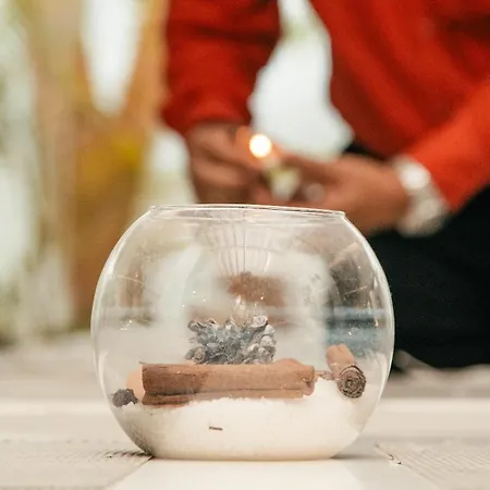 Bluesea Bahia De Lobos ホテル